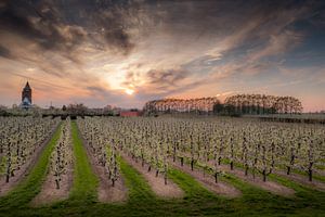 Kerk Lienden met fruitboomgaard von Moetwil en van Dijk - Fotografie