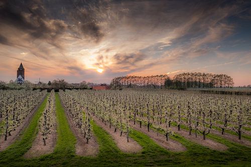 Kerk Lienden met fruitboomgaard