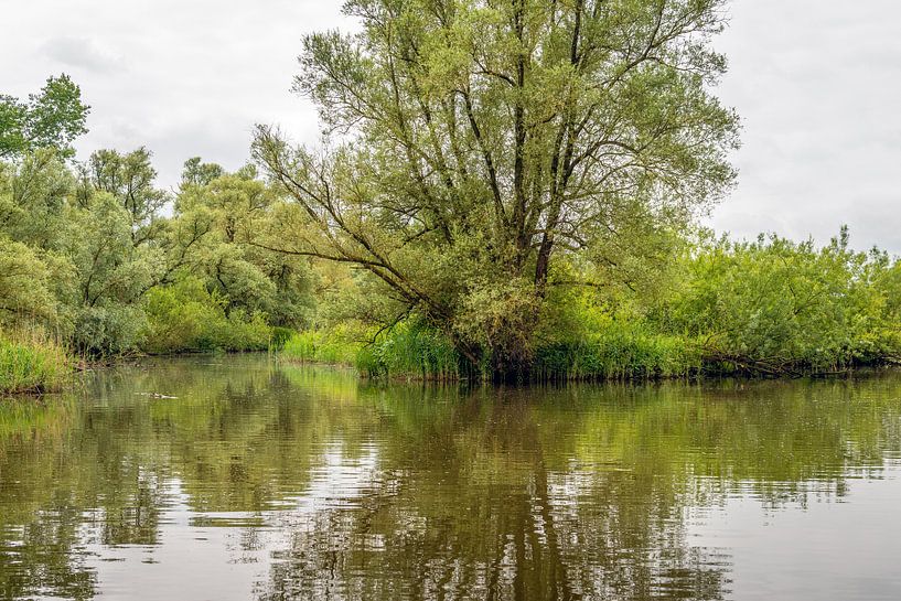 An den Ufern eines niederländischen Naturschutzgebietes von Ruud Morijn