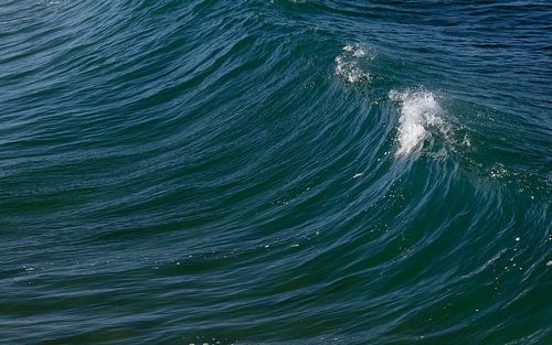Brekende golf aan de kust van Portugal van Lensw0rld