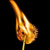 Burning Dandelion 3 von Liane Boddaert