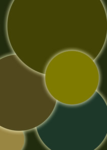 Eclipse bos
