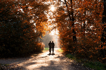 Koppel in de Herfst