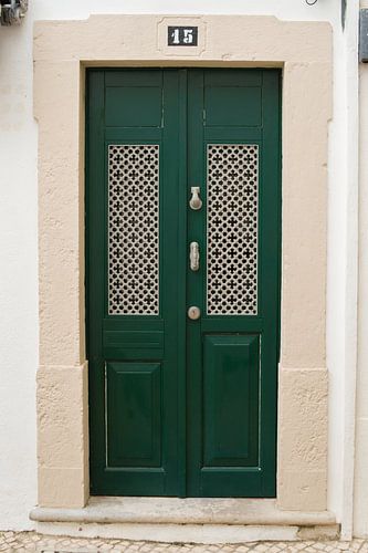 De deuren van Portugal groen met panelen nummer 15
