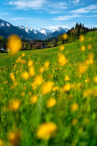 Lente in de Allgäu vallei
