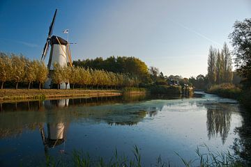 Mühle am Wasser von Pieter van Roijen