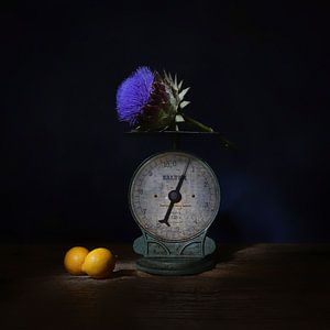 Les histoires d'une balance de poids. Pèse-personne avec citron et artichaut. sur Saskia Dingemans Awarded Photographer