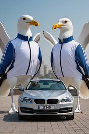 The Wing M5 by John Dan