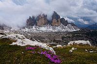 Three peaks enveloped by clouds