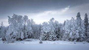 Ambiance hivernale au Langer Teich dans le Harz sur Steffen Henze