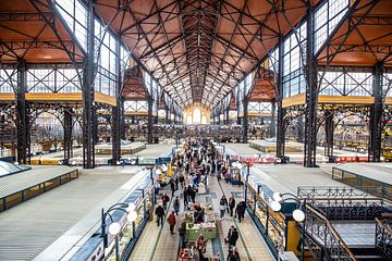 Budapest by Eric van Nieuwland