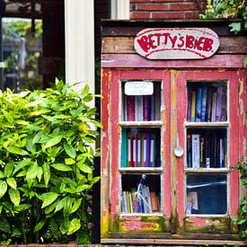 Betty's library von Youri van der Blij