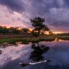 Dramatischer Sonnenuntergang mit Wolken an einem See in NP in den Maasduinen. von Rob Christiaans
