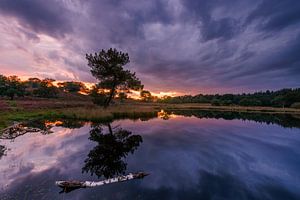 Dramatische zonsondergang met bewolking bij een meertje in NP de Maasduinen.