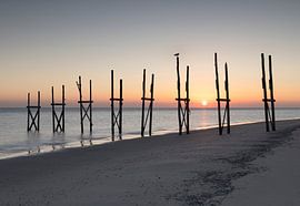 Morning Bird von Wad of Wonders