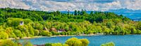 Panorama van de oever van het Bodenmeer bij Seefelden in de lente van Walter G. Allgöwer thumbnail