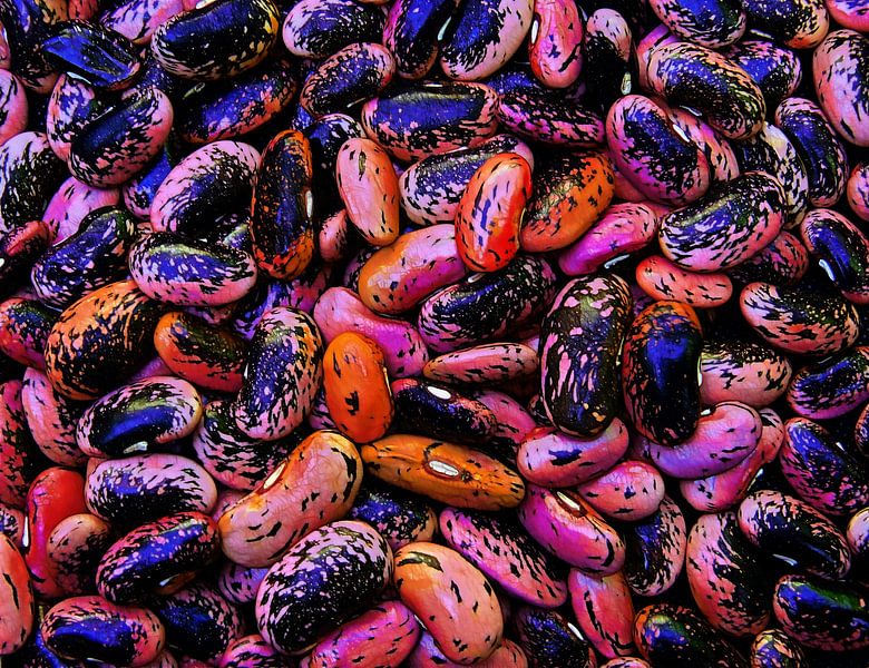 Feuerbohnen von Caroline Lichthart