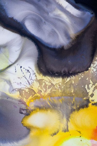 Macrofotografie acrylverf oranje geel zwart grijs van angelique van Riet