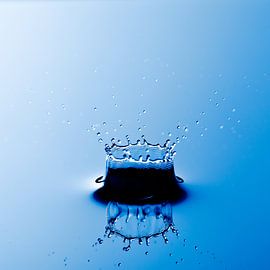 Drops von Steven Hendrix