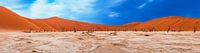Panorama picture of Deadvlei in the Namib Desert, Sossusvlei, Namibia, Africa by Patrick Groß thumbnail