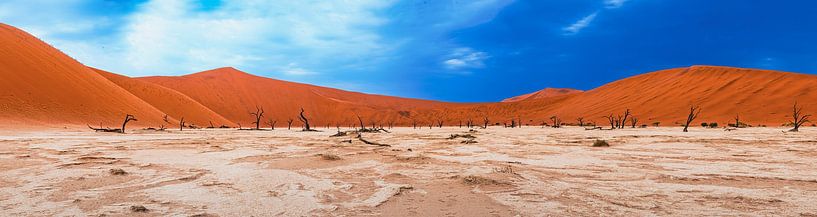 Panorama picture of Deadvlei in the Namib Desert, Sossusvlei, Namibia, Africa by Patrick Groß