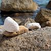 Stones on the Mediterranean coast by Adriana Mueller