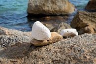 Stones on the Mediterranean coast by Adriana Mueller thumbnail