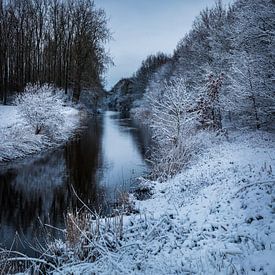 L'hiver au pays d'Axel sur Wesley Kole