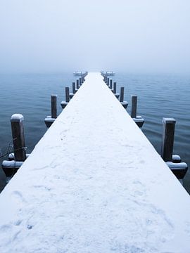 Bevroren loopbrug van Denis Feiner