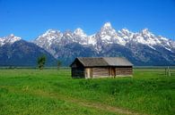 Mormon Row Historic District in Grand Teton NP by Thomas Zacharias thumbnail