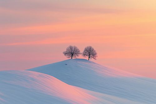 Eenvoud van het winterlandschap