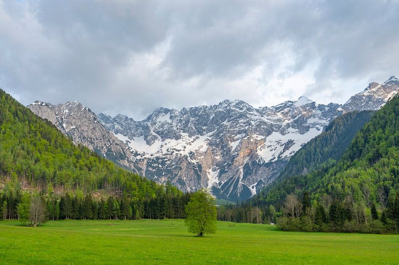 Alpen landschap vallei in de lente van Sjoerd van der Wal Fotografie