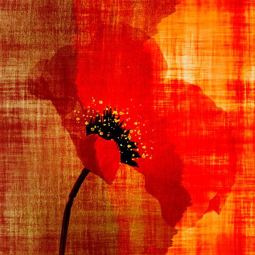 Collage moderne d'un coquelicot rouge sur lin