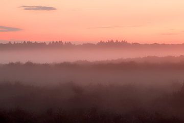 Nevel in avonlicht van Hans de Waay