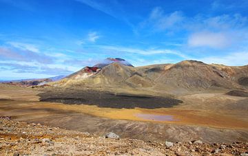 Tongariro Nationaal Park Nieuw-Zeeland van GoWildGoNaturepictures