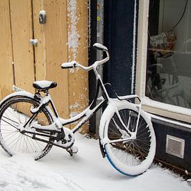 Winterwetter in den Niederlanden von Daniël Smits