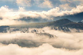 Baumwipfel im Nebelmeer über dem Dörnberg