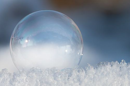 Transparent soap bubble on snow crystals