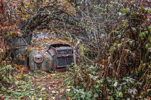 Roestige erfenissen in het bos - autokerkhof in Zweden