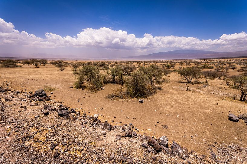 Tanzaniaanse woestijn by Peter Postmus