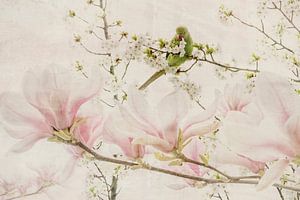 Japandi-Stil. Halsbandsittich mit Magnolie.