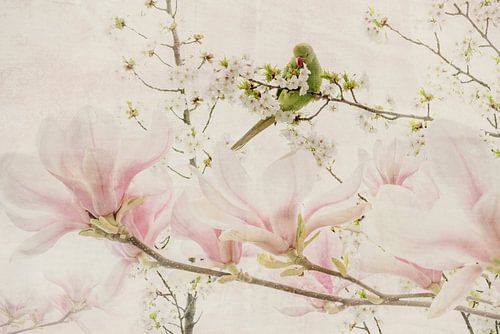 Japandi Stijl. Halsbandparkiet met Magnolia. van Alie Ekkelenkamp