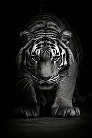 Tiger von Poster Art Shop