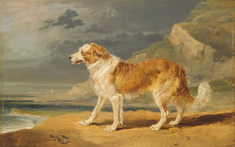 Rough-Coated Collie, James Ward by Masterful Masters