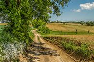 Limburgs Landschap van John Kreukniet thumbnail