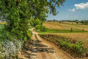 Limburgische Landschaft