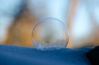 Winter - Bevroren zeepbel VIII van Gerben van den Hazel thumbnail