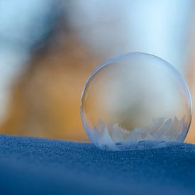 Winter - Bevroren zeepbel VIII van Gerben van den Hazel