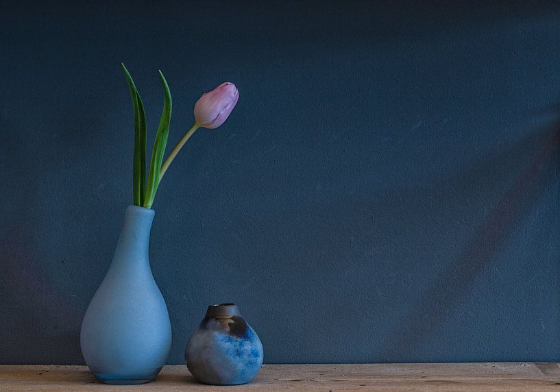Tulipe de printemps ! par Carla Walk