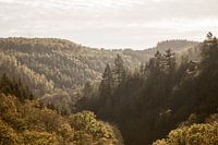 Autumn in Ardennes